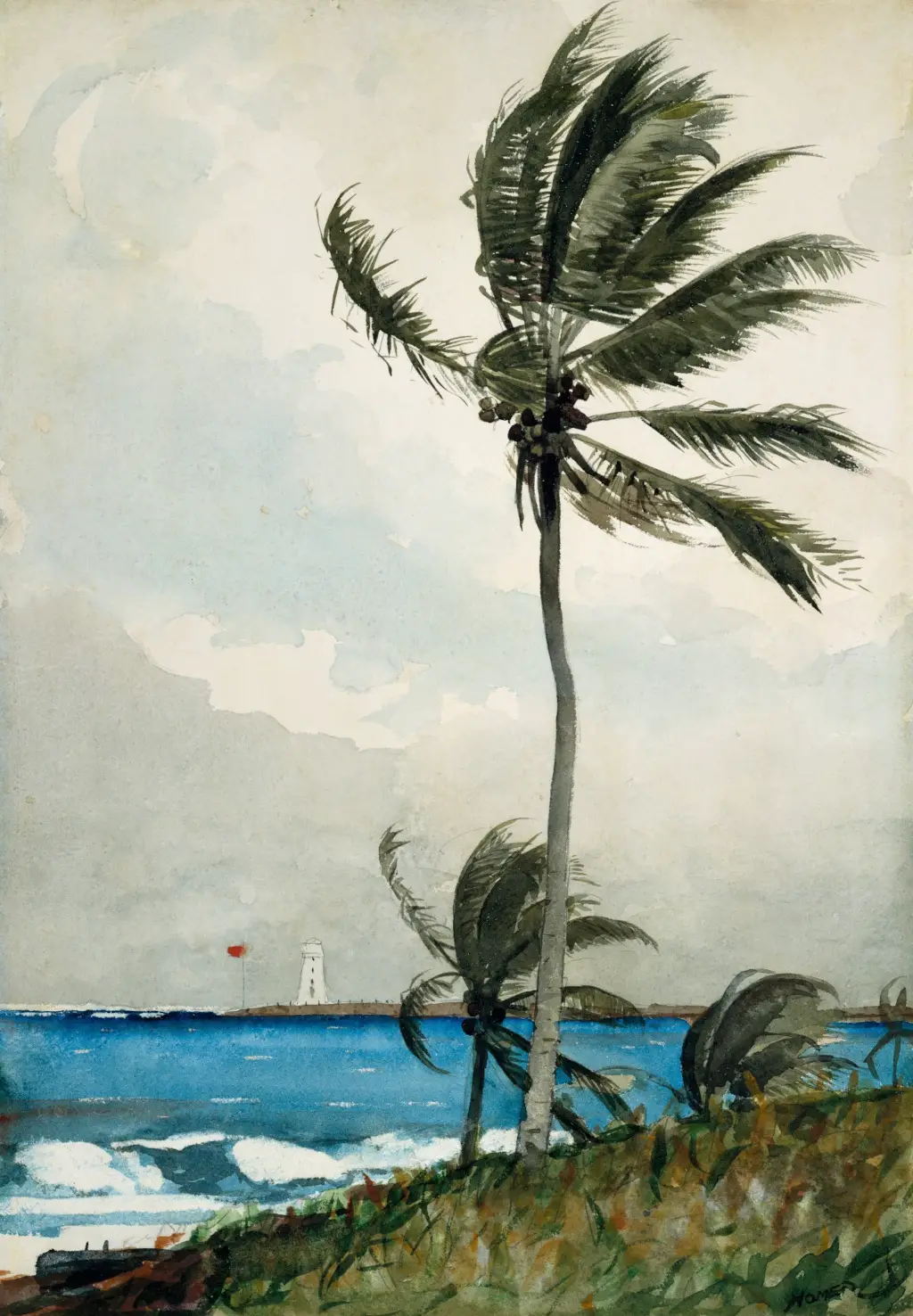 Palm Tree, Nassau in Detail Winslow Homer